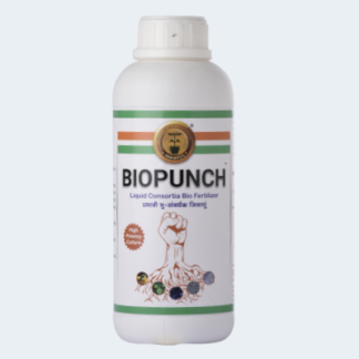 BIOPUNCH